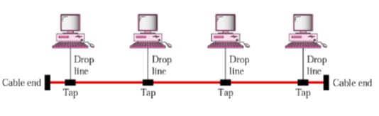 topology_Bus Topology